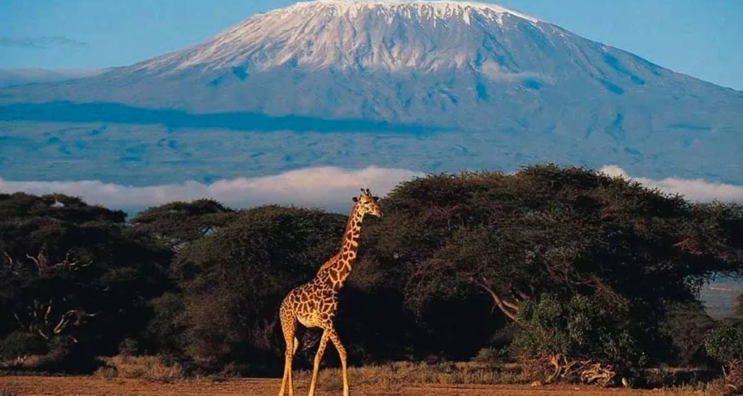 Mt. Kilimanjaro via Machame Route - 8 days budget camp - Across Africa Tours & Travel