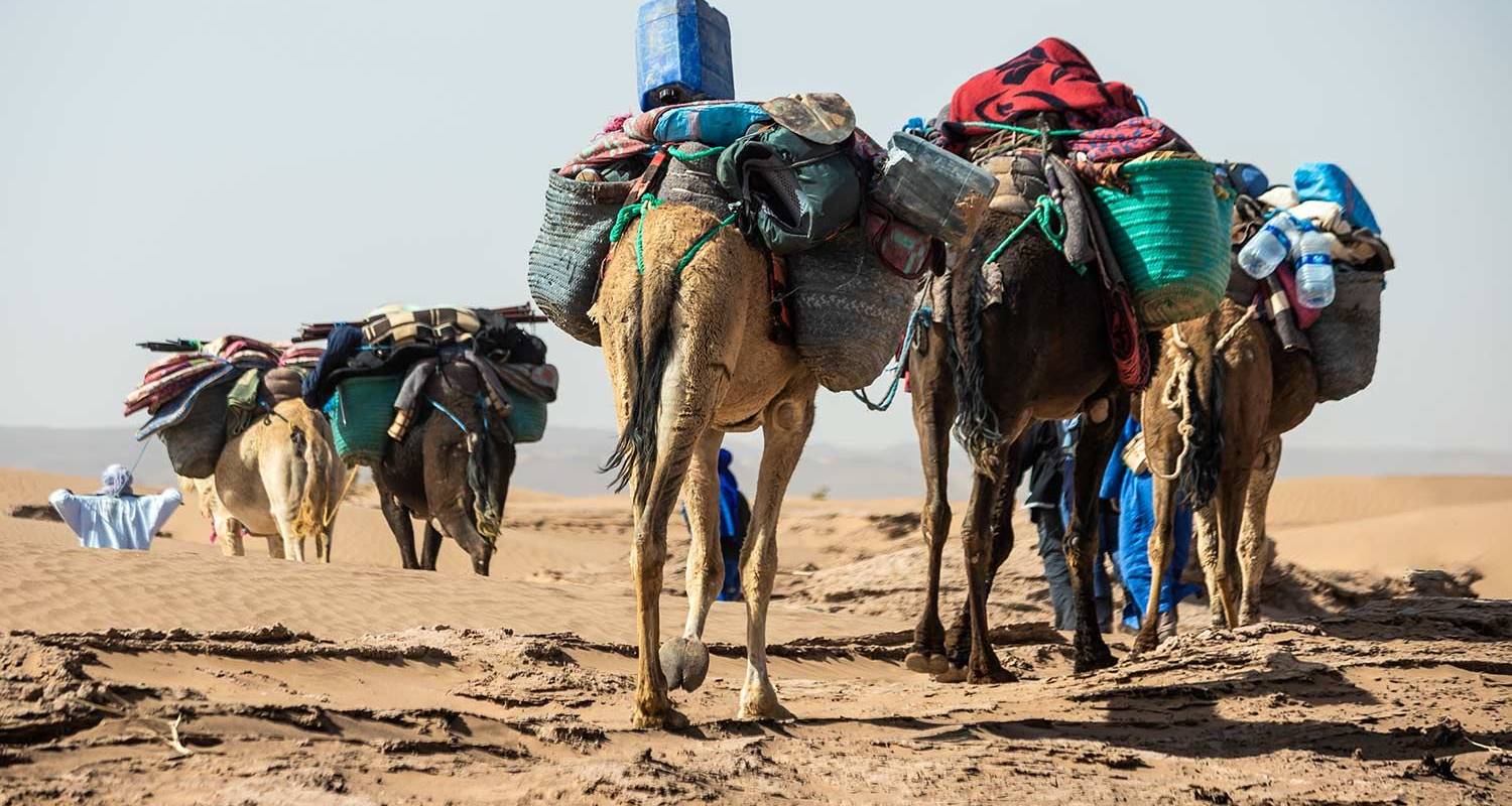 Kamel-Trekking Tour durch die Wüste Marokkos (ab Marrakesch) - 6 Tage - Marrakech Desert Tours