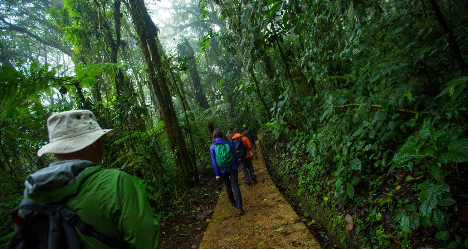 Costa Rica: Monteverde and La Fortuna