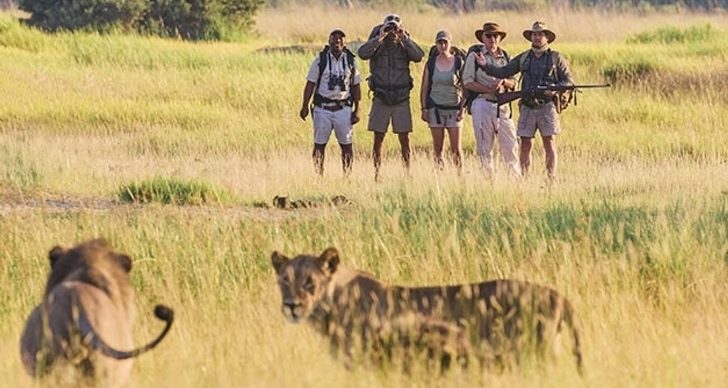 Kayak & Canoe Tours & Trips in Okavango