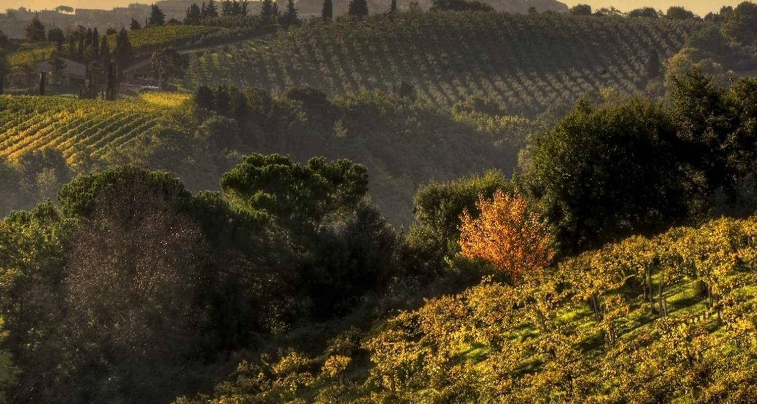 Circuits et voyages Italie centrale au départ de Sienne