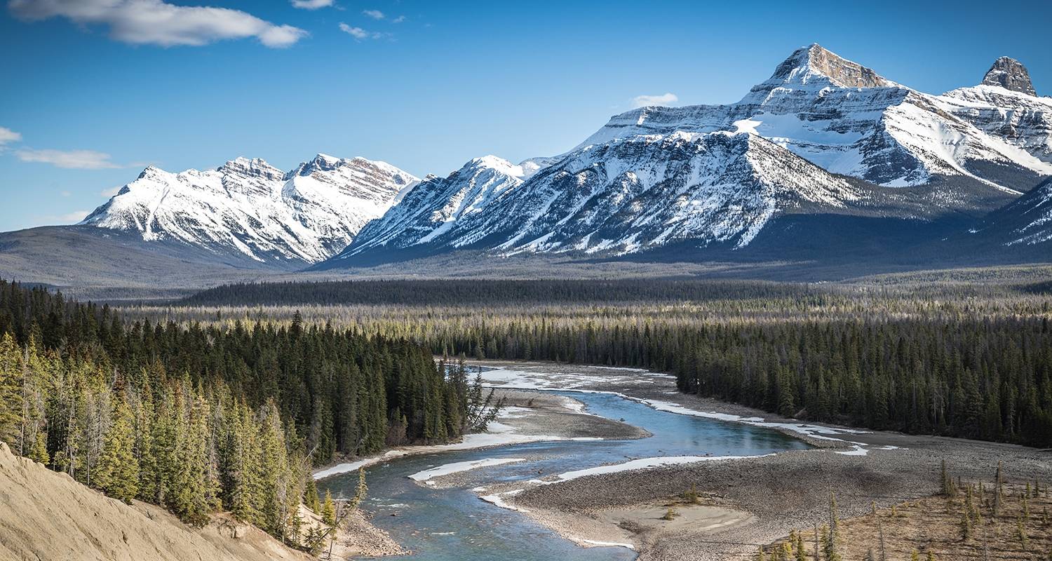 Caribou - Best of the Rockies