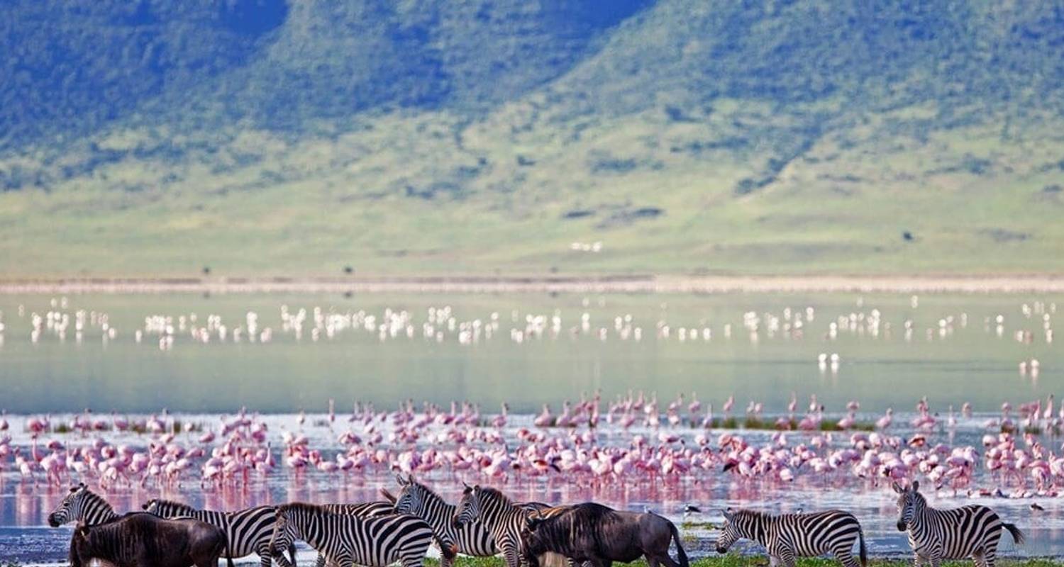 Safari de 2 días en albergue en Tanzania al lago Manyara y al cráter del Ngorongoro - Serengeti African Tours