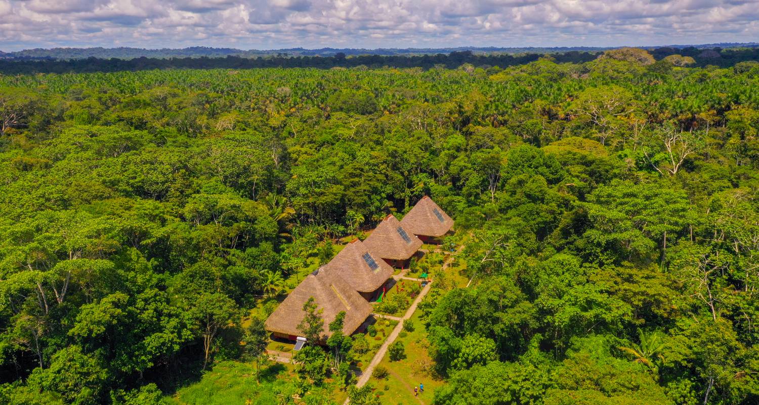Einzigartiger Amazonas in Ecuador (mit Mahlzeiten, Nachhaltige Reise) - Signature Tours