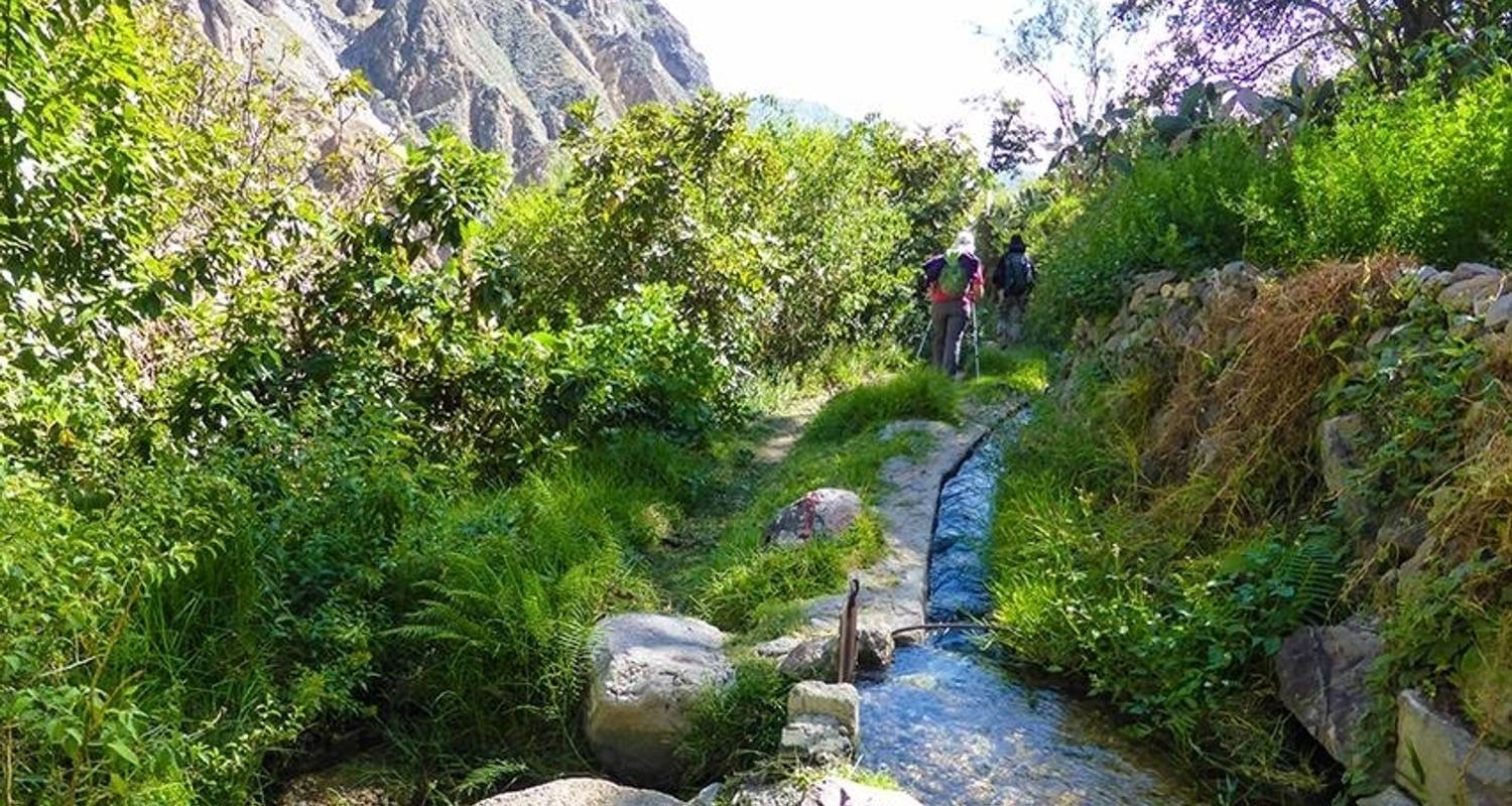 Colca Canyon Trekking Tour 3T/2N & Transfer nach Puno - Bamba Travel