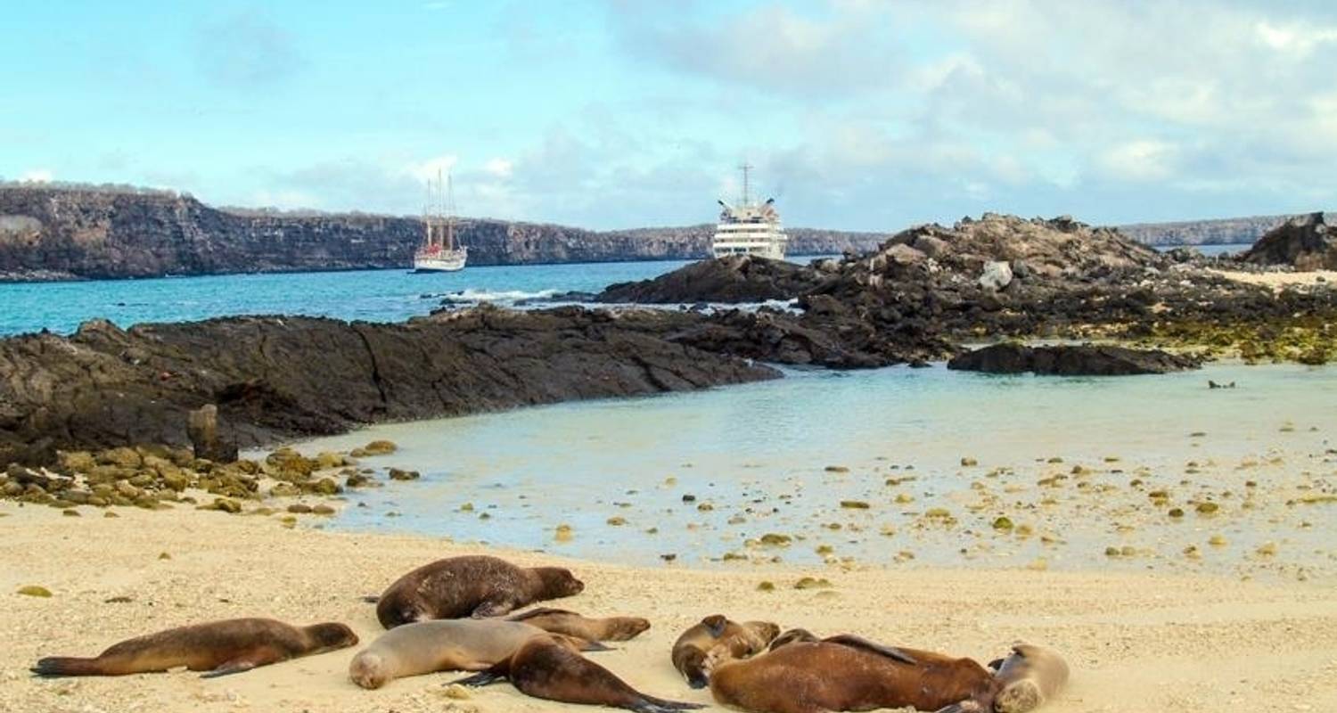 Galapagos Island Hopping Adventure 7D/6N - Bamba Travel