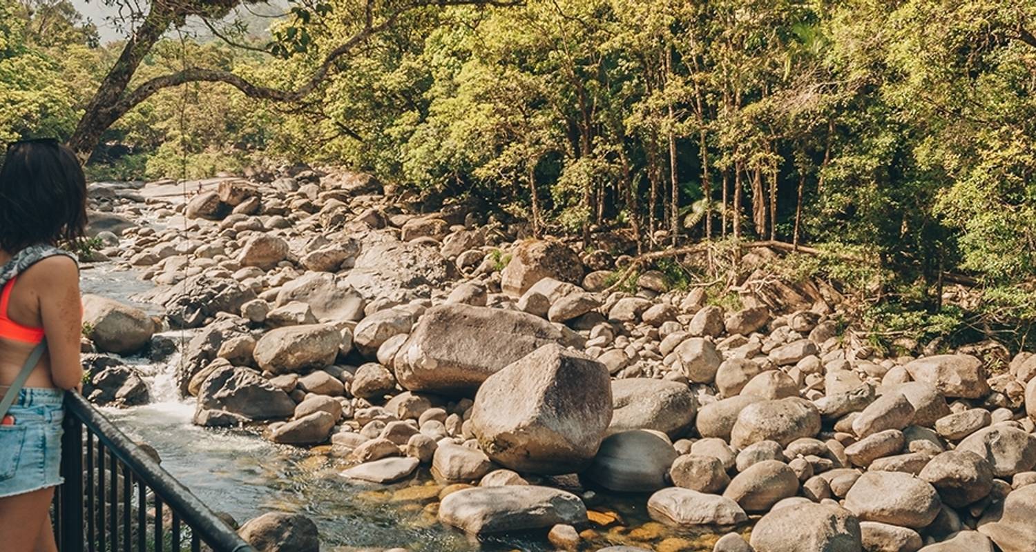 Brisbane zur Daintree Entdeckungsreise - Intrepid Travel