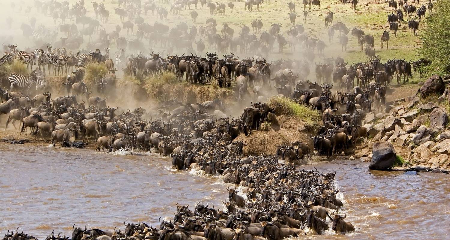 Safari de 7 jours sur la grande migration des gnous du Serengeti. - Kilipeak Adventures ltd