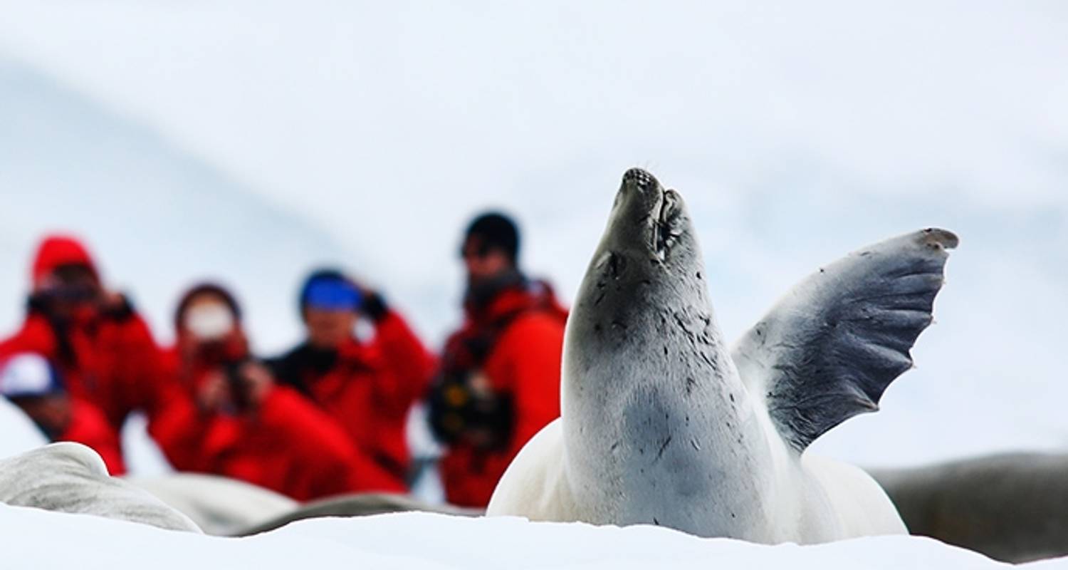 Christmas in Antarctica