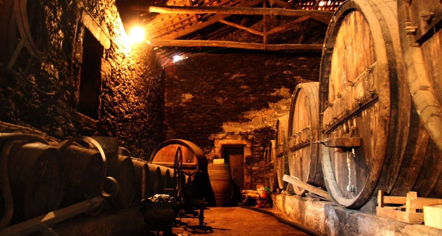 Gems of Porto & the Douro Valley with Douro River Cruise - 5 Days in Portugal