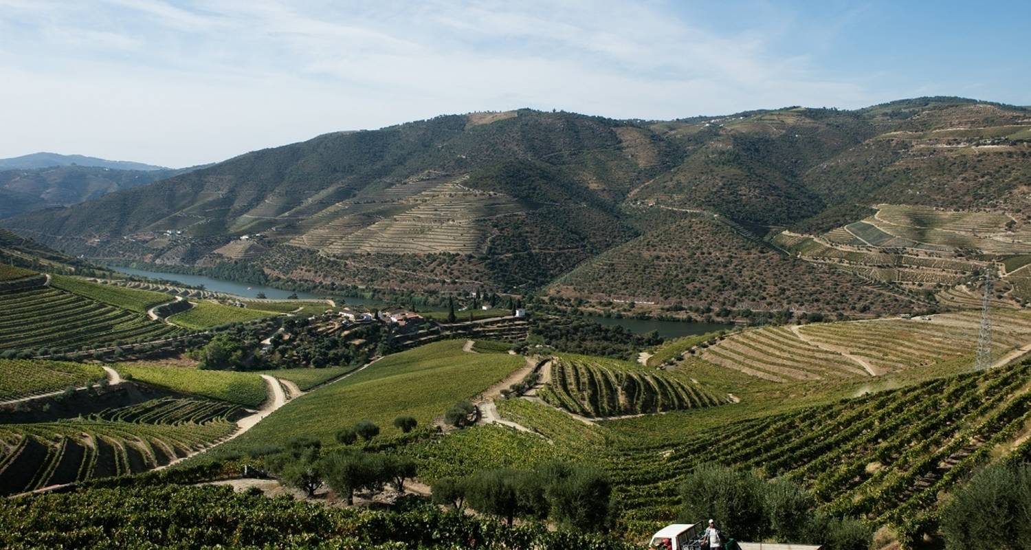 Gems of Porto & the Douro Valley with Douro River Cruise - 5 Days in Portugal