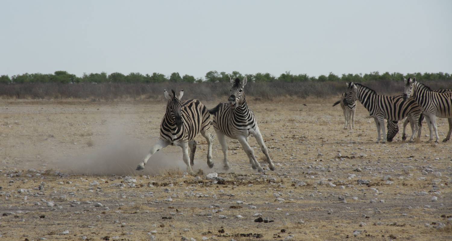 Viaje de 11 días a Namibia con alojamiento - Bluecrane Safaris Namibia