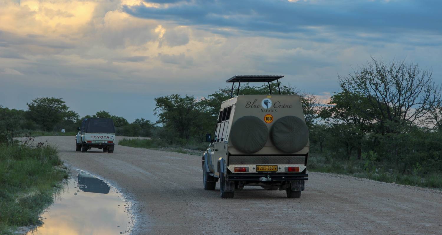 15 jours de safari avec hébergement en Namibie - Bluecrane Safaris Namibia