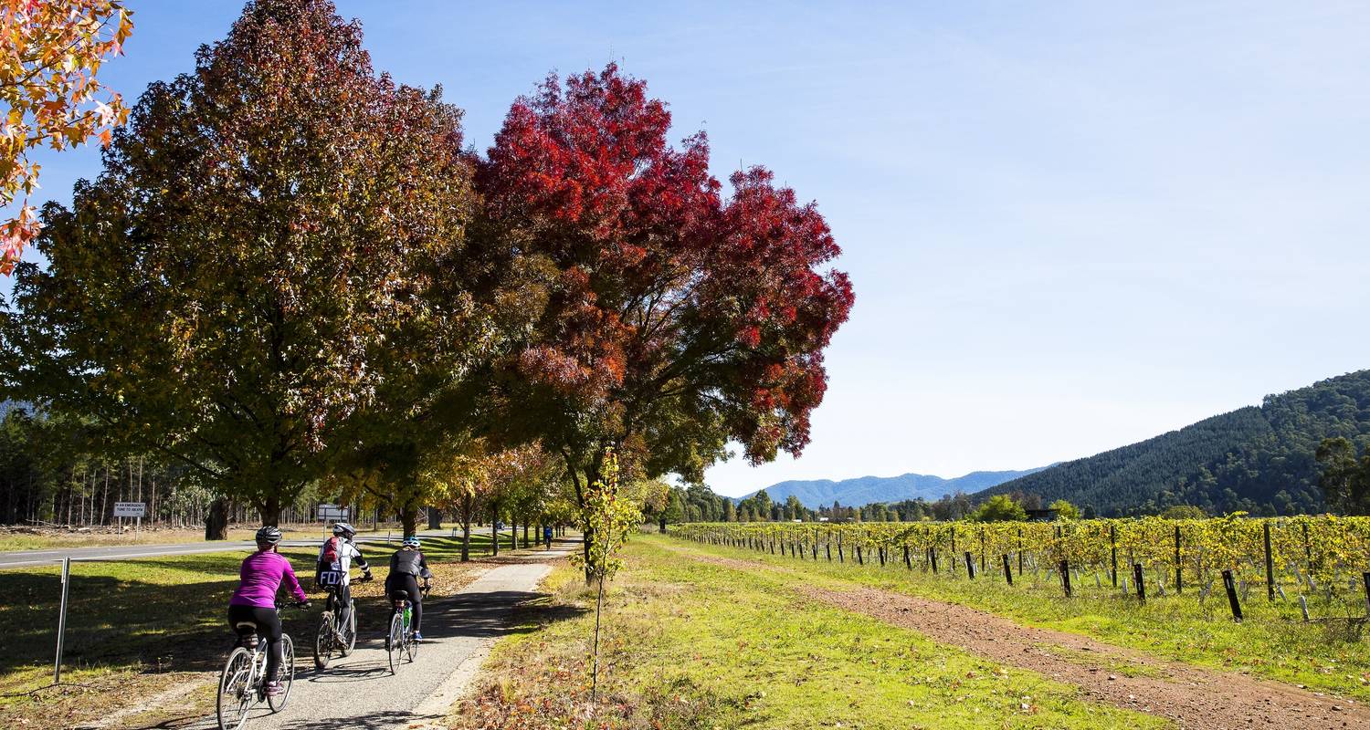 Tour de Bright - Tour cycliste de Beechworth à Bright - Tour de Vines