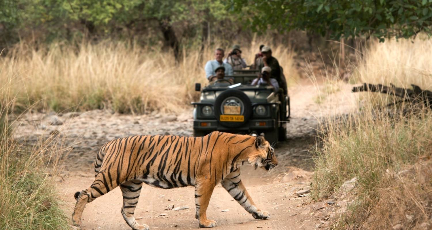 6 Days Golden Triangle Tour with Ranthambore Tigers and Taj Mahal Sunset/Sunrise - Agra Taj Visit