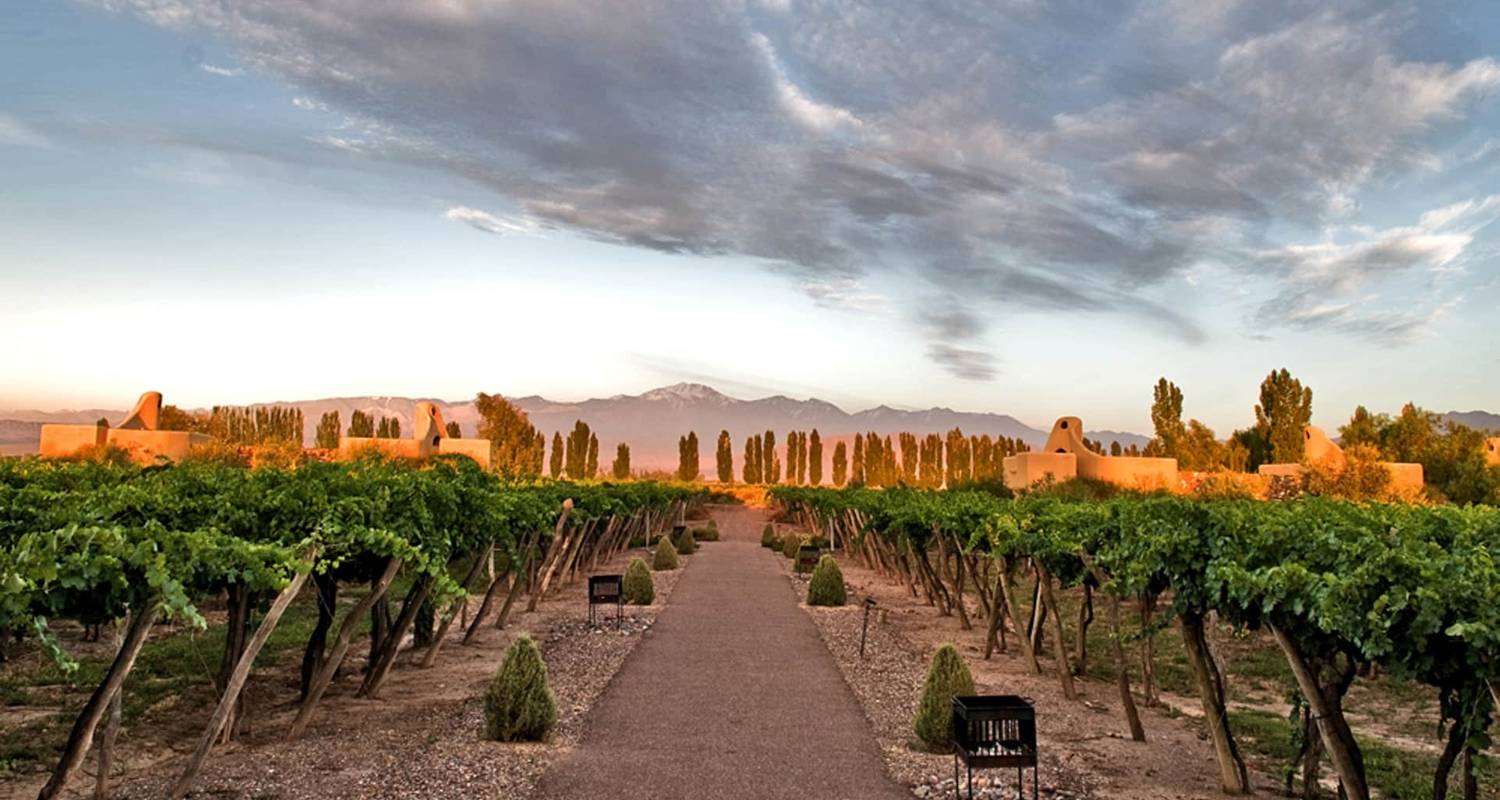 argentina wine tours from buenos aires