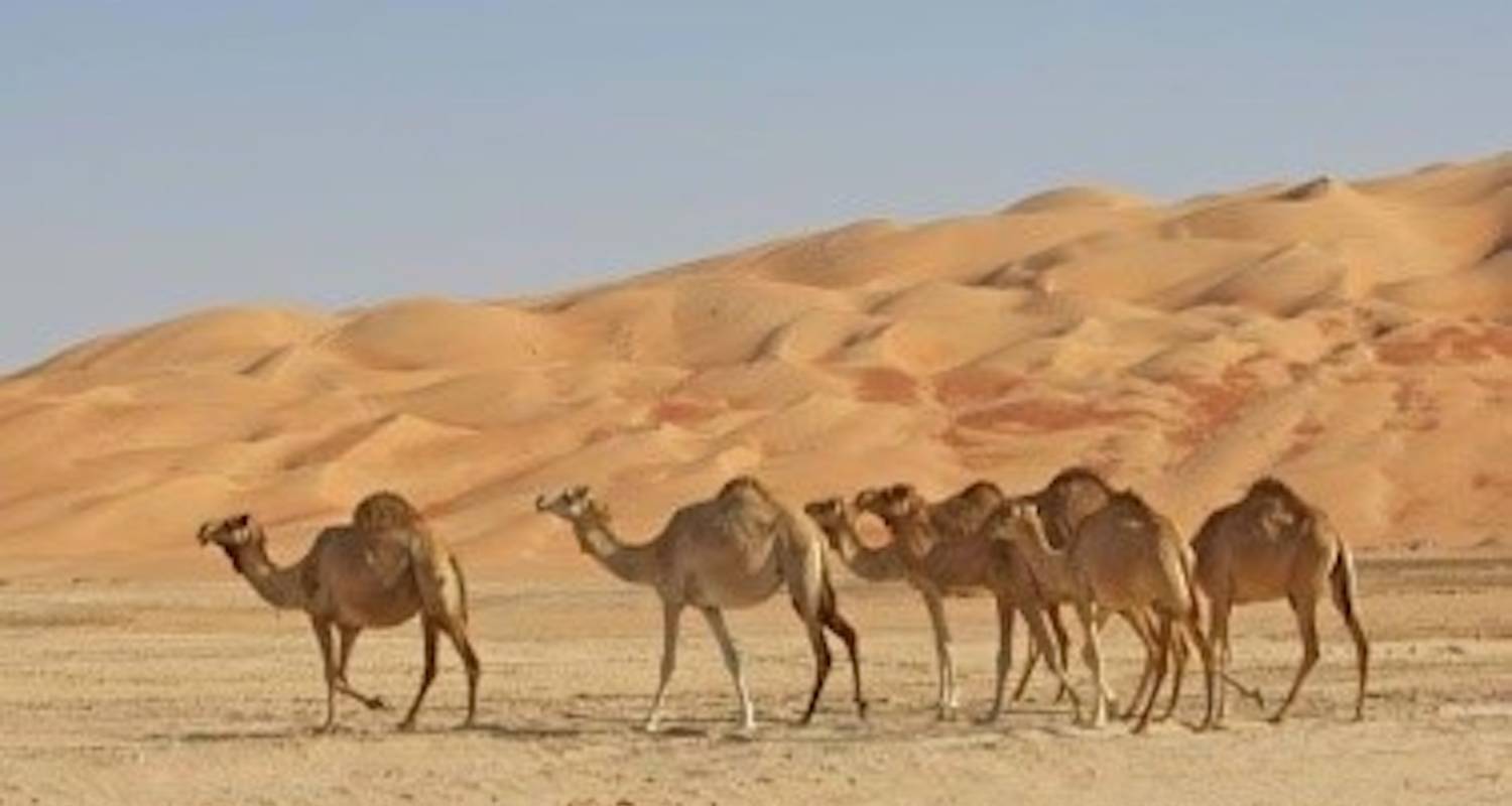 Küste zu Wüste 03 Nächte 04 Tage - Oman Safari Tours