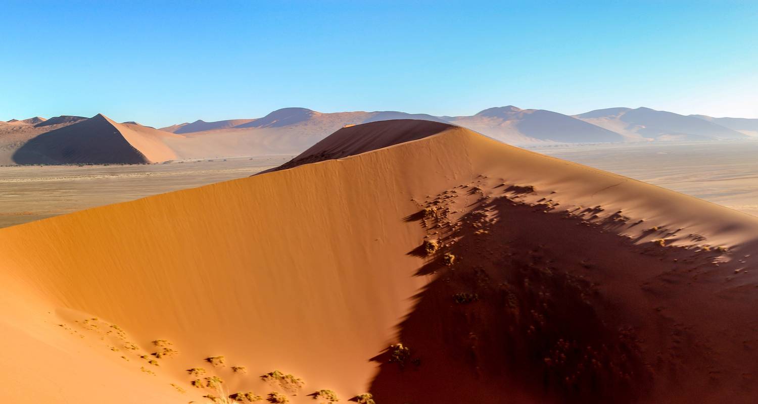 Safari en campamento de 10 días por el Norte de Namibia, Damaraland, Costa y Sossusvlei - Bluecrane Safaris Namibia