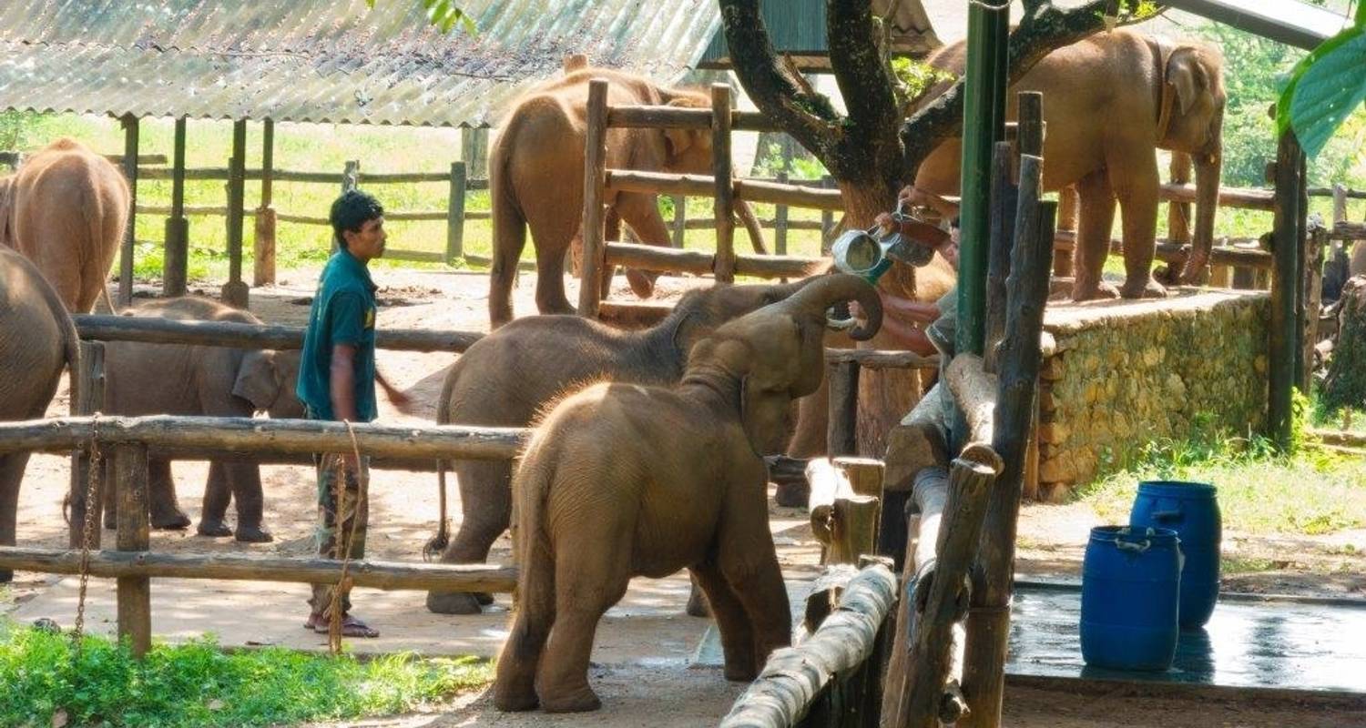 Paradis des oiseaux du Sri Lanka, visite privée - Aitken Spence Travel