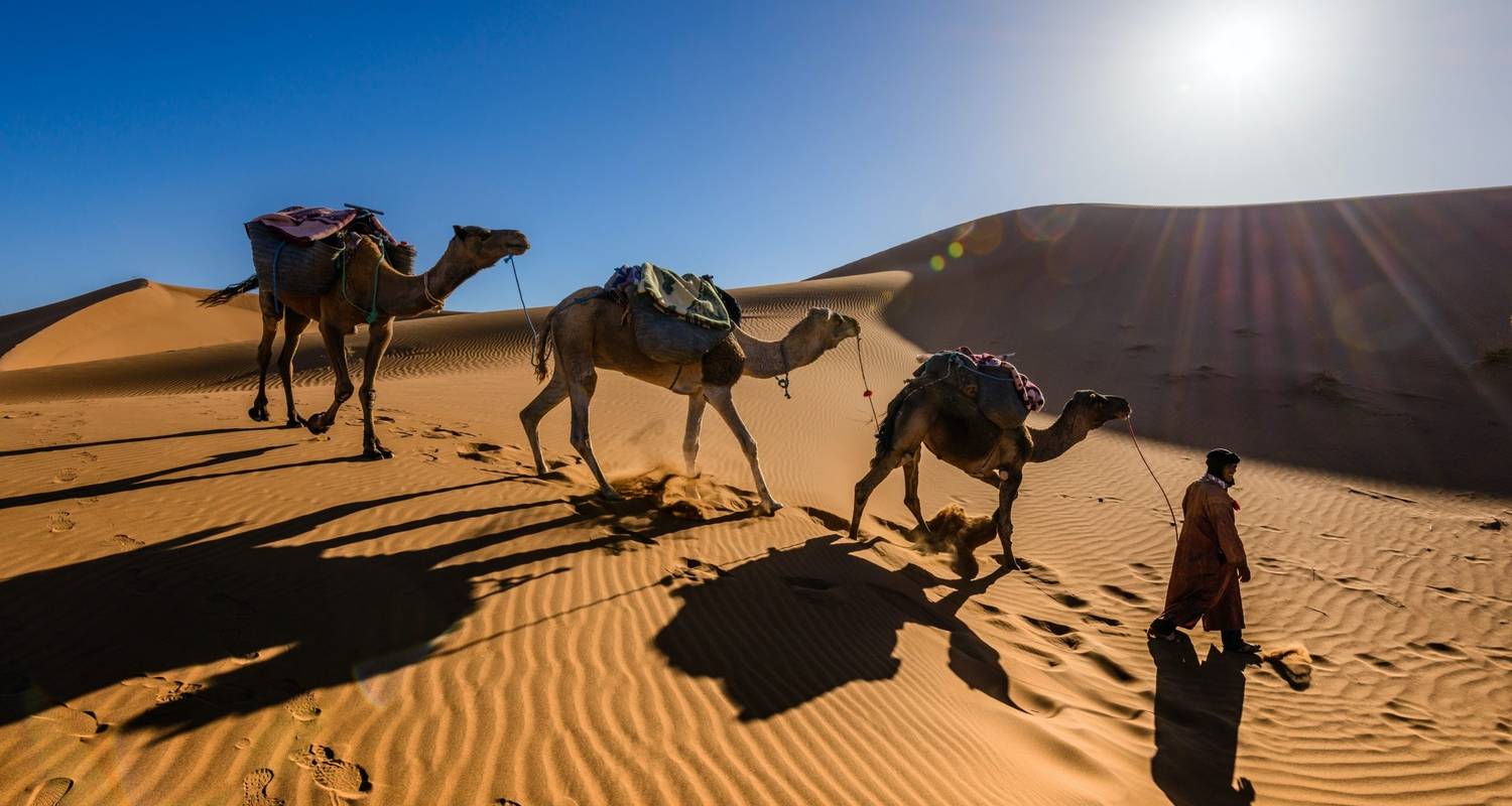 7 Day Deep Sahara Desert Camel Trek | Travel like a true desert Nomad -  Amazigh Voyage