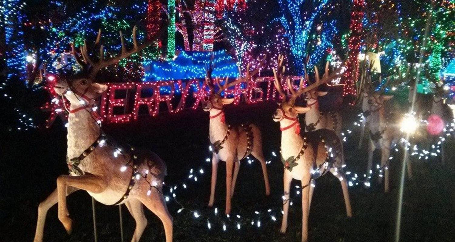 Weihnachten in Vancouver, Capilano Canyon Lights & Bright Night in Stanley Privatrundreise - Globalduniya