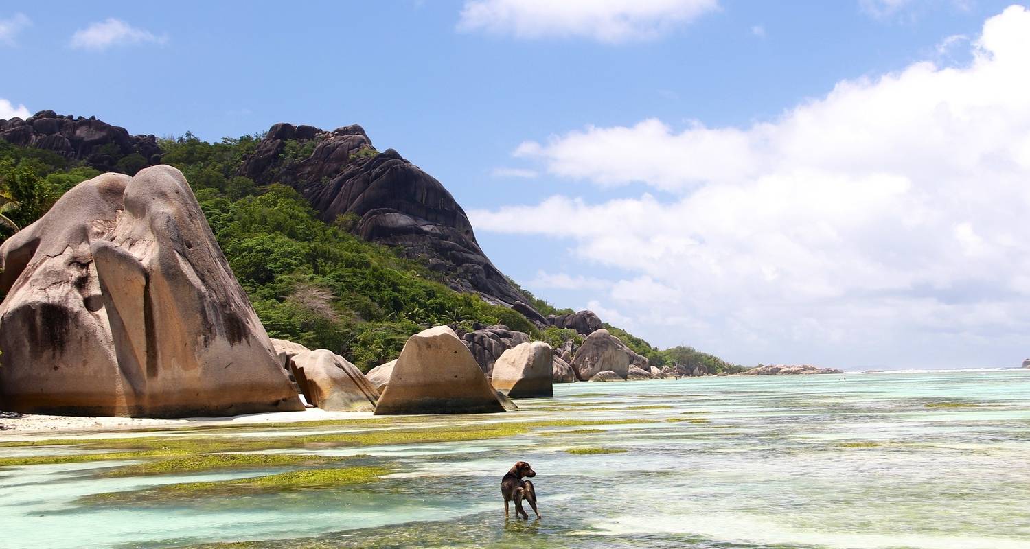 Paquete de vacaciones familiares en Seychelles 7D/6N - confort plus - Across Africa Tours & Travel