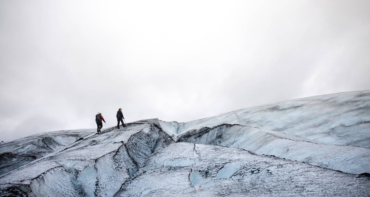 8 daagse rondreis door IJsland per minibus met noorderlicht, blauwe ijsgrot en walvissen kijken - Troll Expeditions