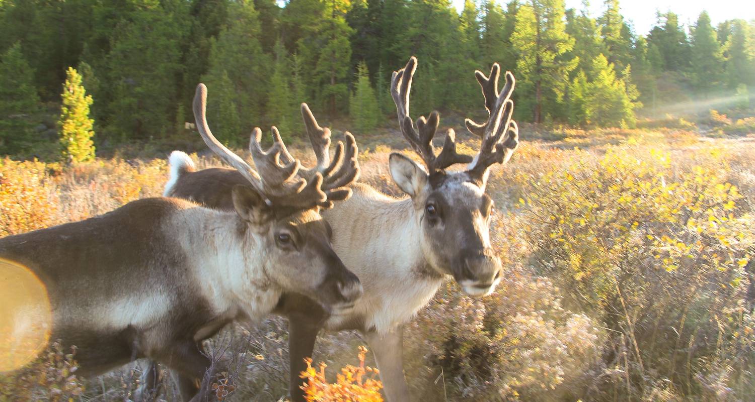 On Horseback to Mystical Taiga