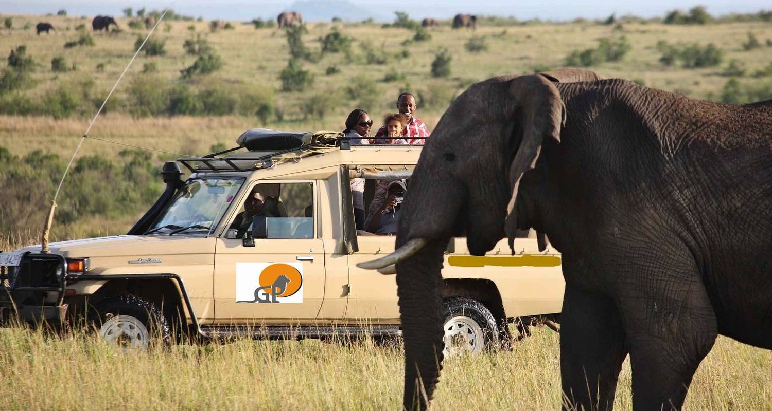 Wildlife safari van 4 dagen: Amboseli, Tsavo West & Tsavo East Nationaal Park safari - Gracepatt Ecotours Kenya