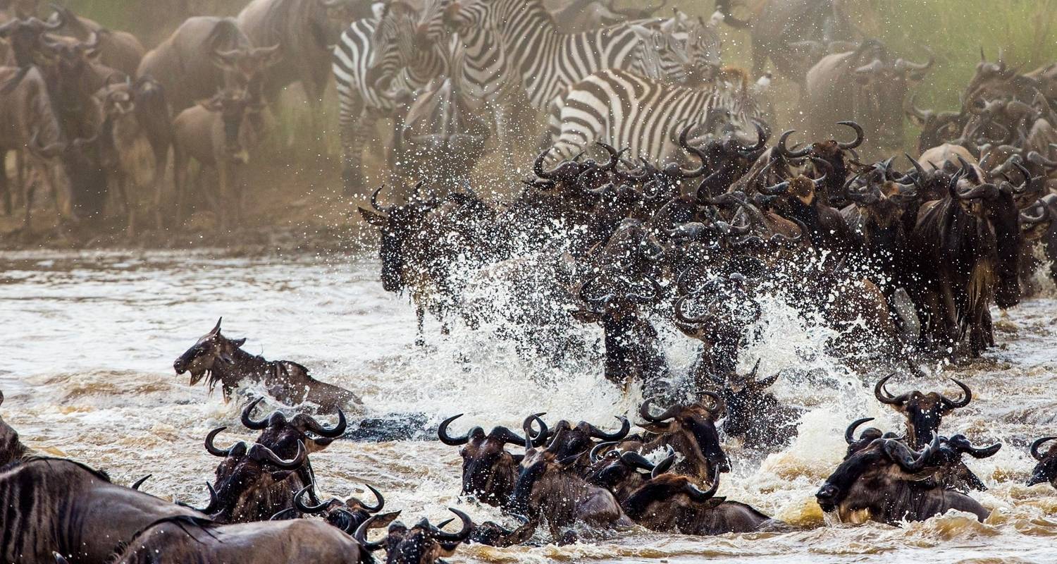 5days Hell's Gate, Lake Naivasha, Lake Nakuru & Masai Mara Mid-Range Lodge Safari - Gracepatt Ecotours Kenya