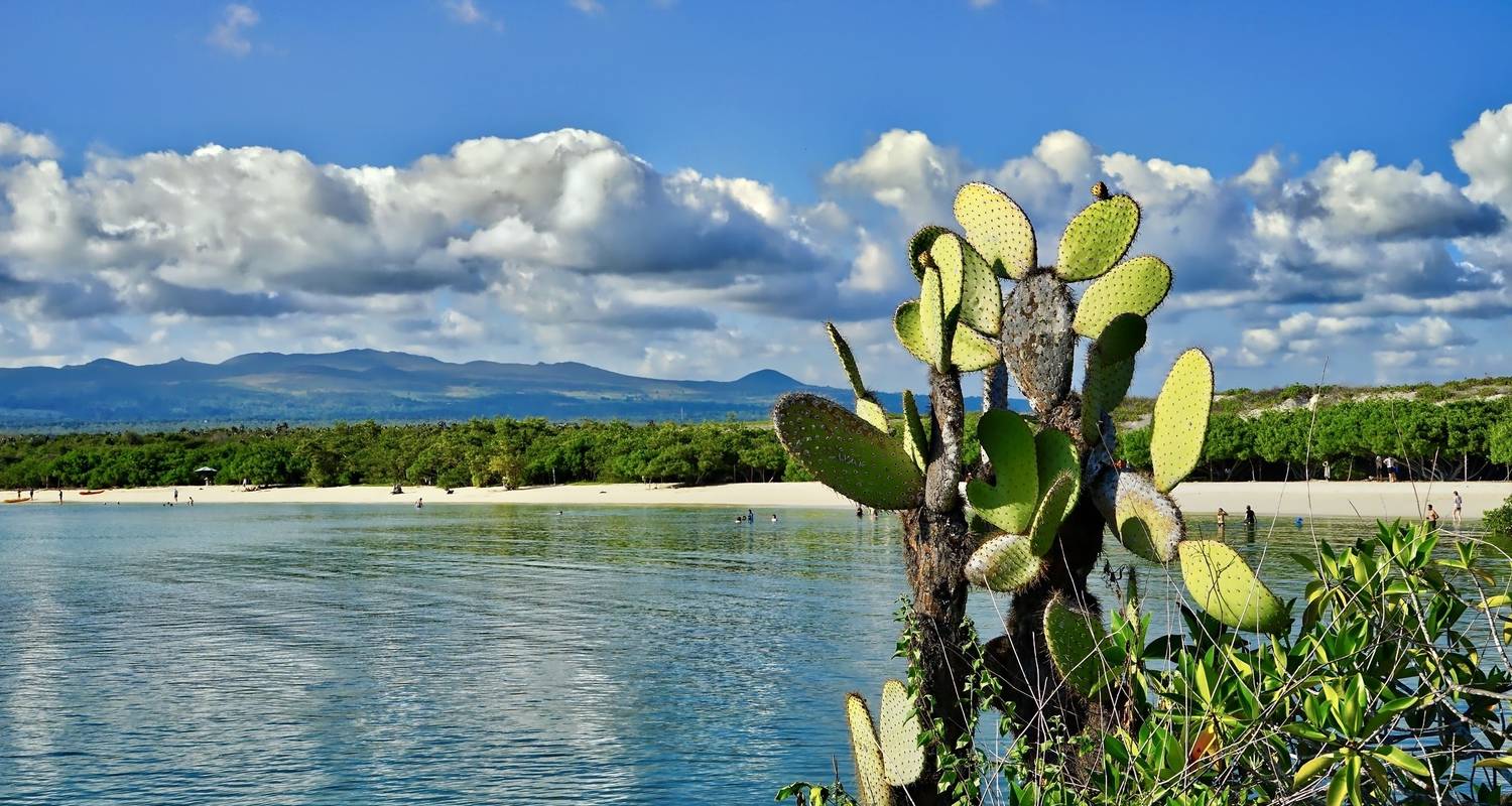 Circuit unique à la découverte des îles Galápagos et de l'île Española - PALMARVOYAGES Tour Operator in ECUADOR