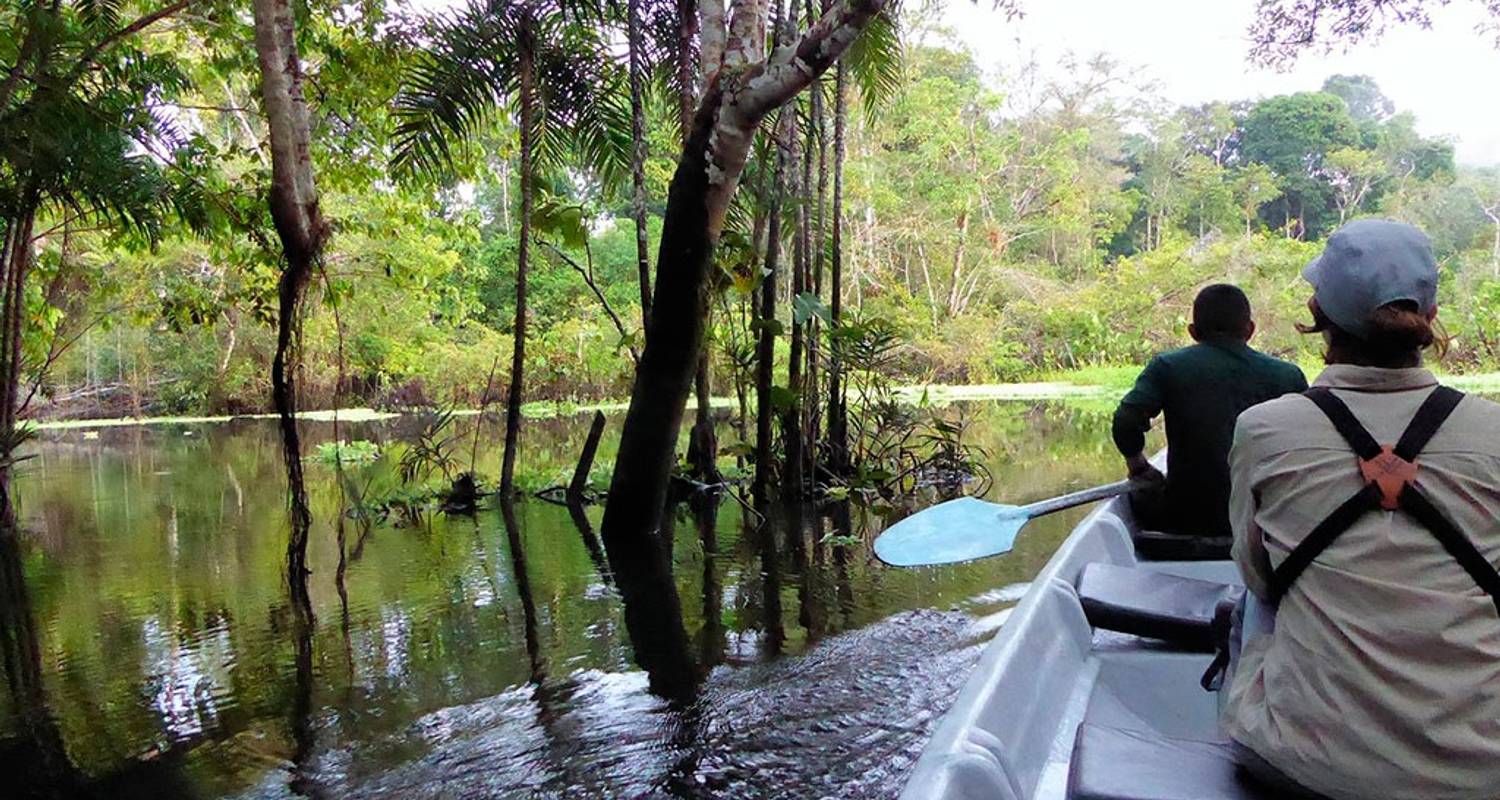 Amazone Yasuni Park reis in Superior Eco Lodge - PALMARVOYAGES Tour Operator in ECUADOR