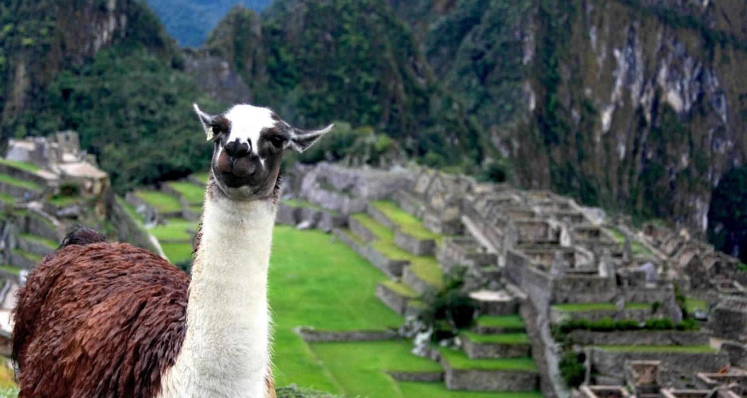 Peru Inca Adventure - TruTravels