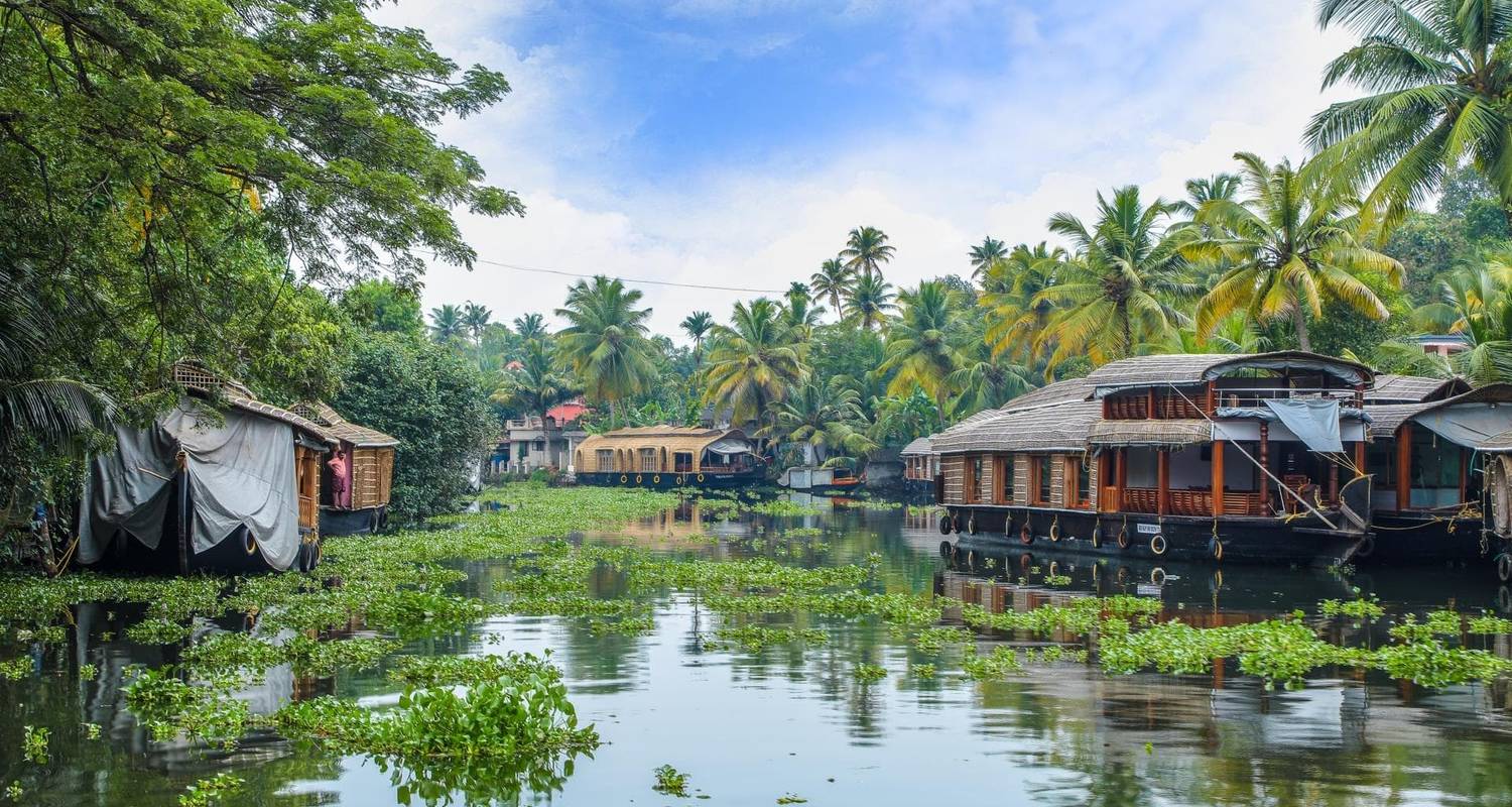 De serene Backwaters - van Cochin naar Alleppey - Agora Voyages OPC Pvt Ltd