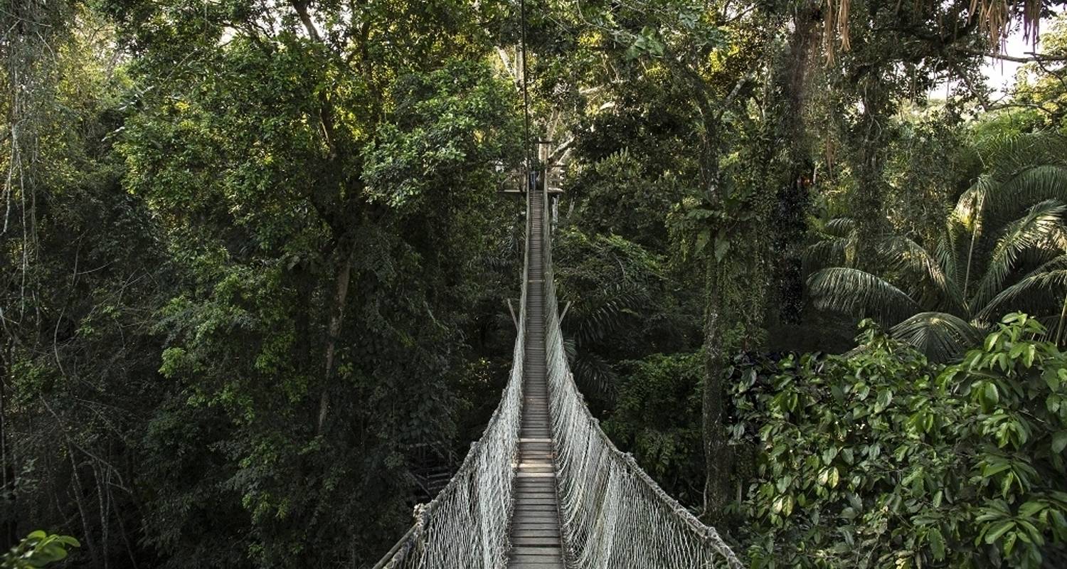 Circuits et voyages Noël et Nouvel An – Forêt amazonienne