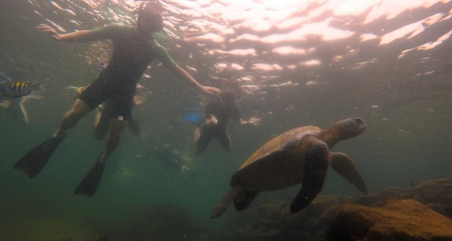 Budget Tours to Galapagos Islands