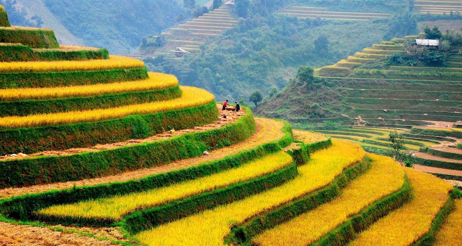 Northern Vietnam Odyssey: Hanoi, Sapa, Mai Chau, and Halong Bay 8-Day - Legend Travel Group