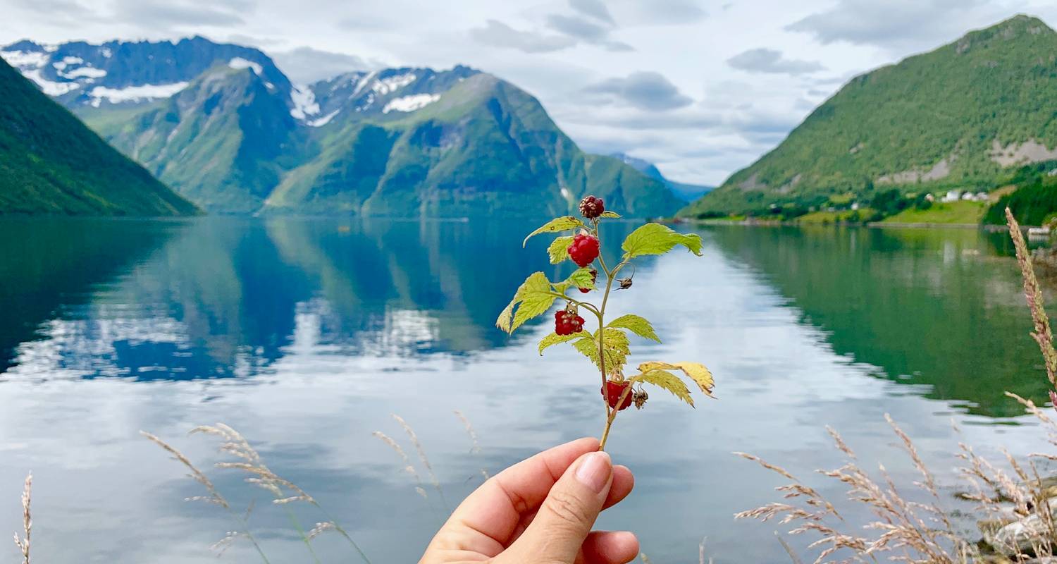 Follow Hollywood Celebrities on the Norwegian Fjords - Uniktur