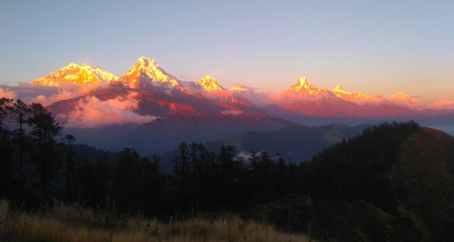 Ghorepani Poon Hill Trek 5 jours - Sherpa Expedition & Trekking Pvt. Ltd.