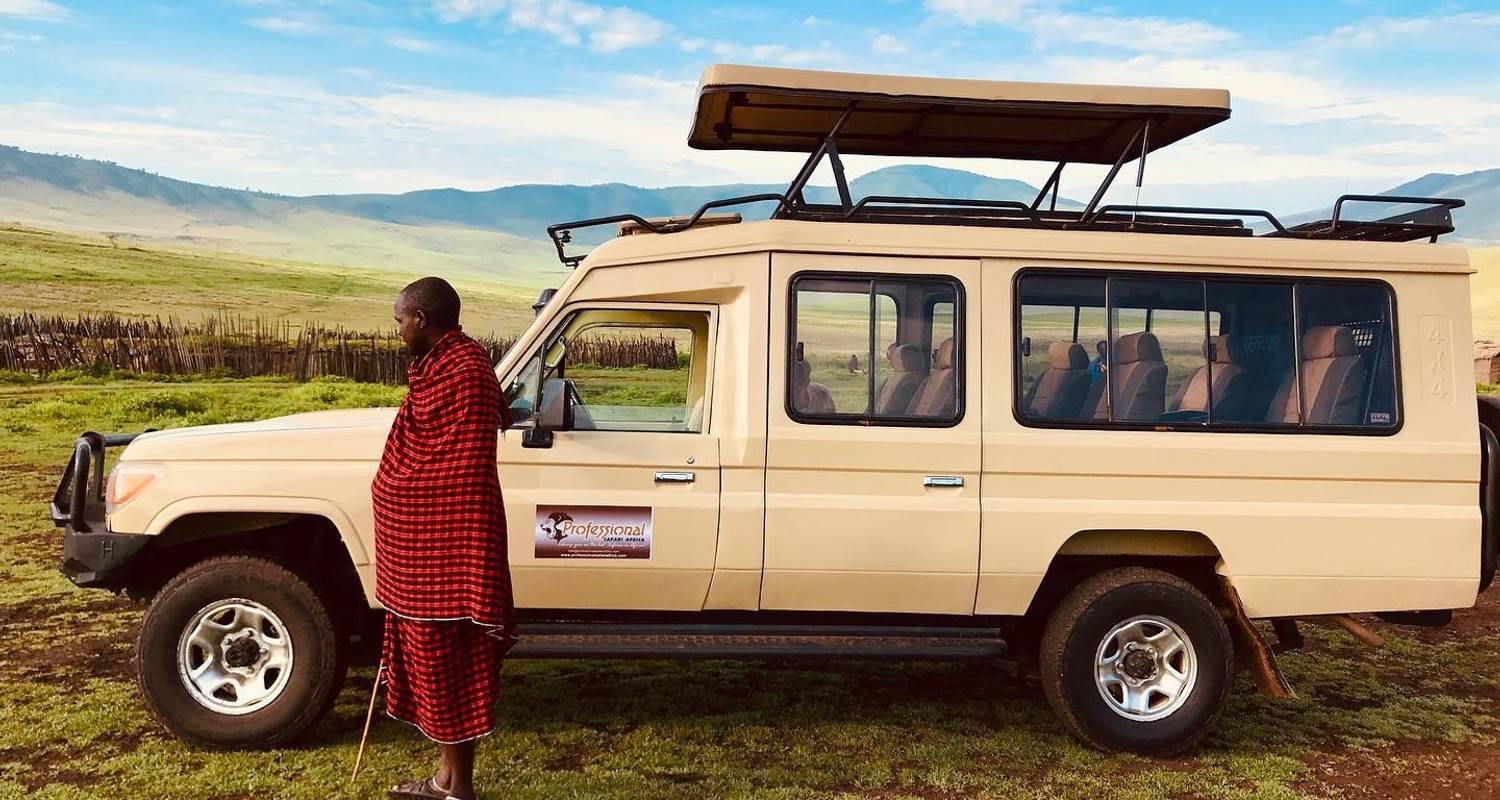 1 Day - Ngorongoro Crater Tour from Arusha - Professional Safari Africa