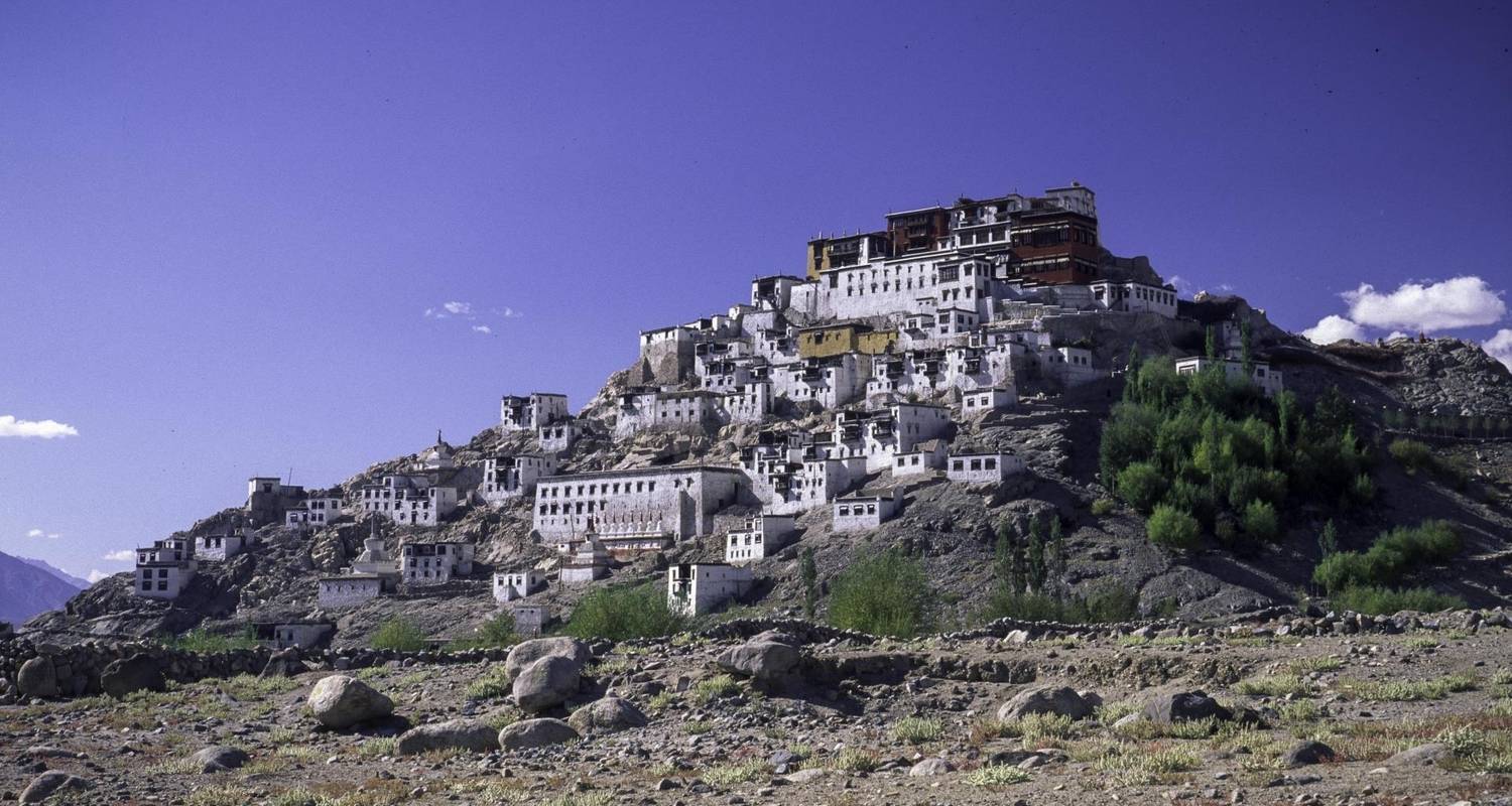 Leh & Ladakh Small Group Tours