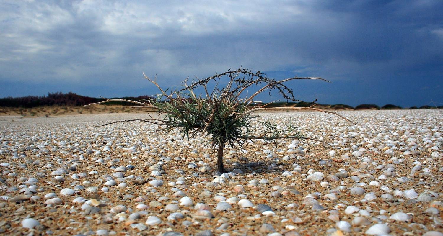 2-day tour to Aral Sea - Steppe and sky travel