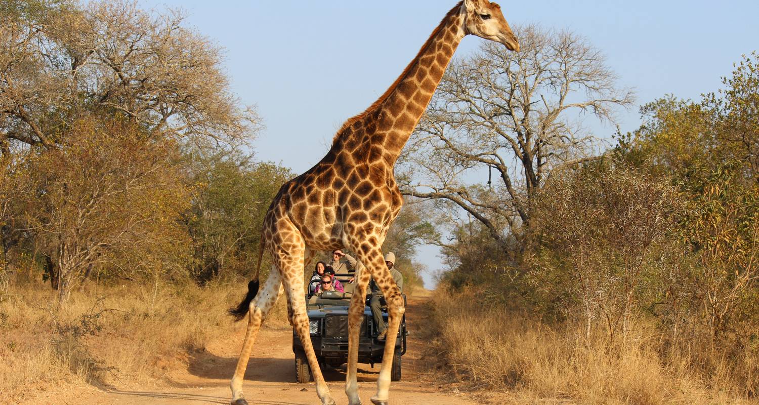 8 days: Best of Zambia, Botswana (Chobe) and Zimbabwe (Zambezi) Wildlife Safari Tour - Lochinvar Safaris
