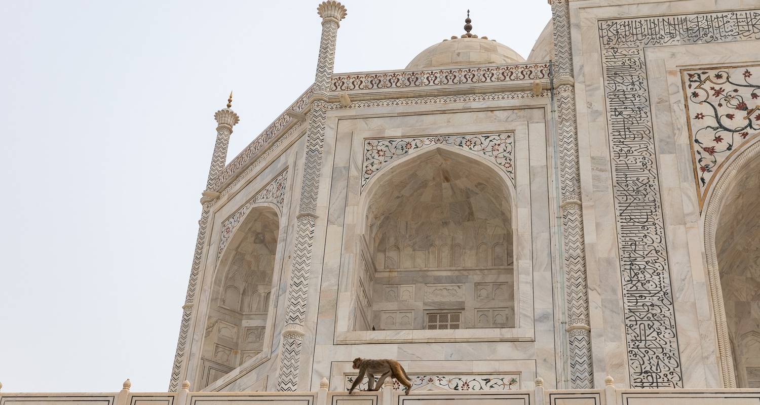 Visite du Taj Mahal et d'Agra 2 jours - Turban Adventures