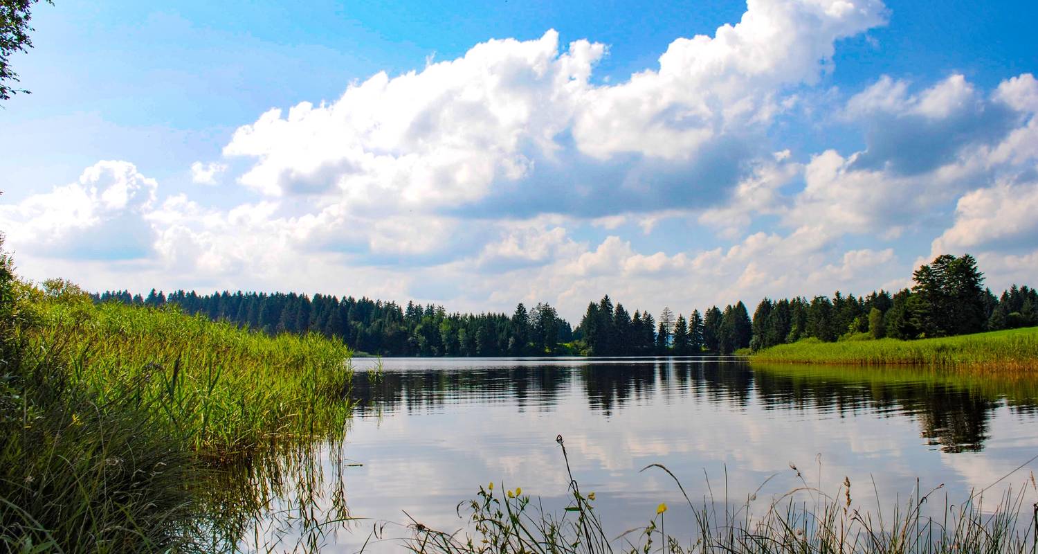 Romantic Road & Bavarian Lakes