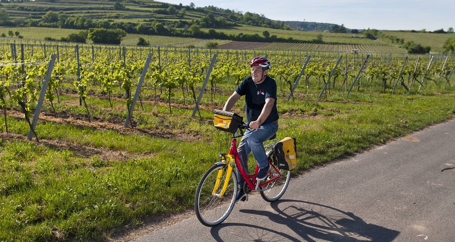 Rhine Romance - Speyer, Heidelberg, Worms 6/5
