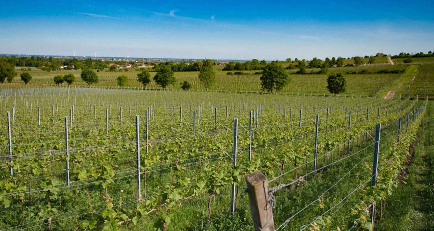 Rhine Romance - Speyer, Heidelberg, Worms 7/6