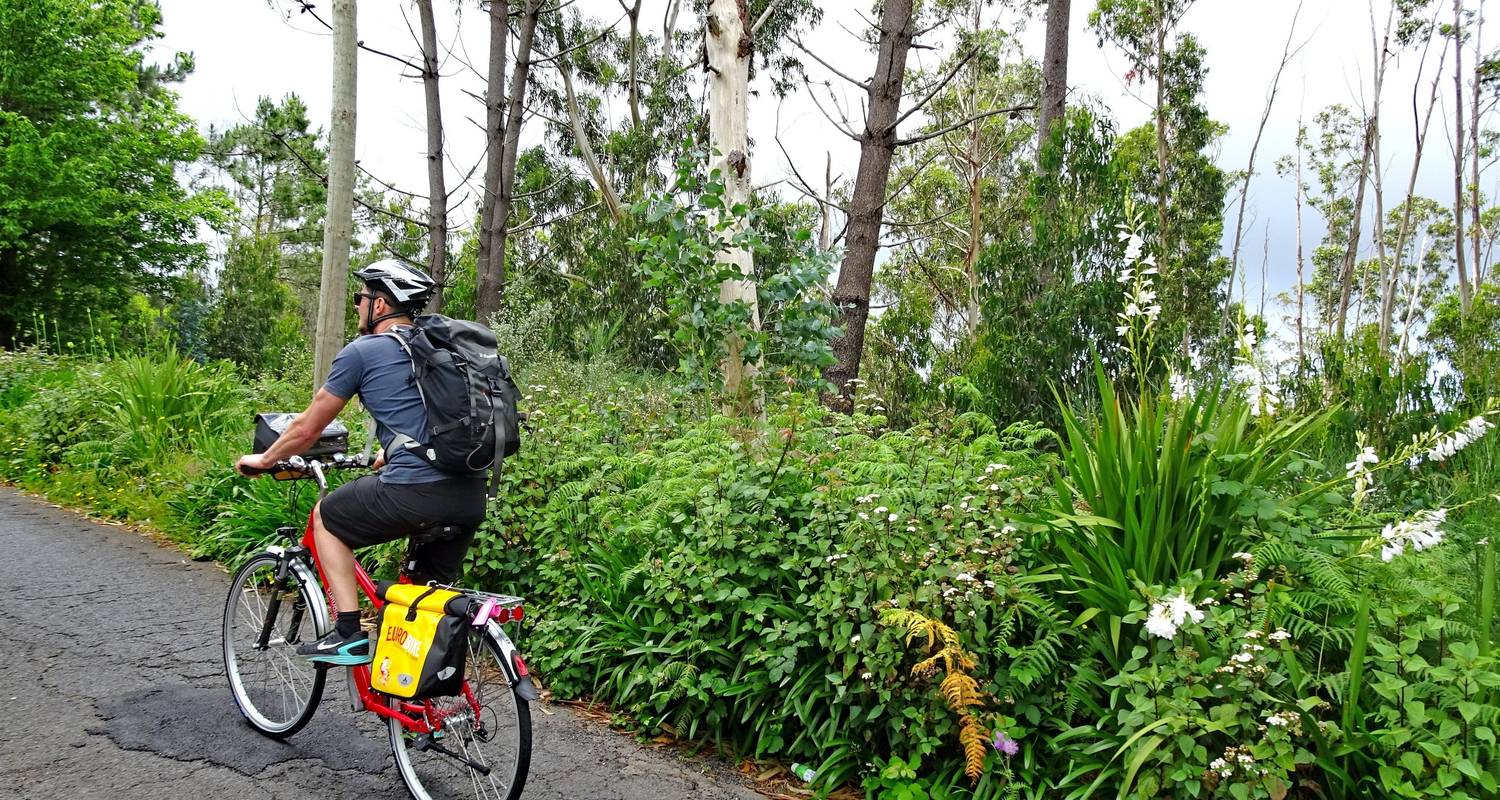 Madeira Rundfahrt – Natur, Genuss & Abenteuer