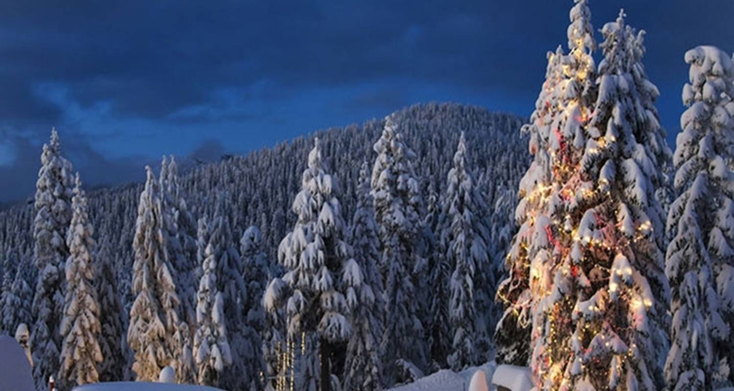 Vancouver Dagtocht | Grouse Mountain & Capilano Hangbrug Prive - Globalduniya