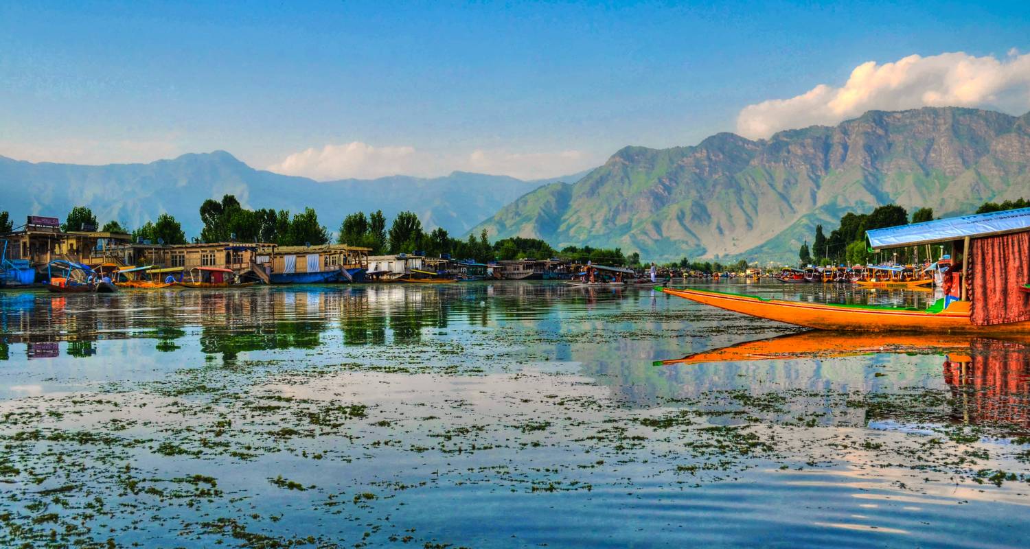 Cachemira con Srinagar - Golden Triangle India Tours